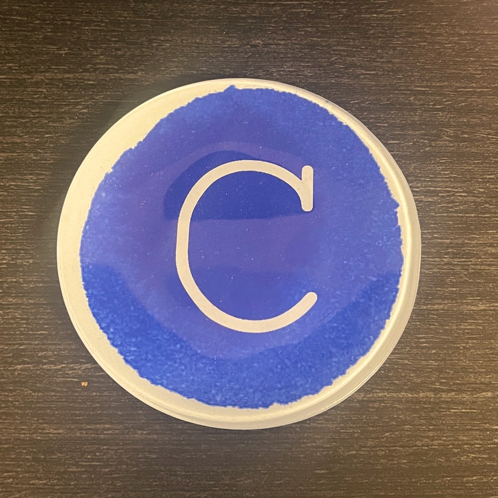 Blue West Elm C dish